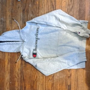 Gray Champion Sweatshirt